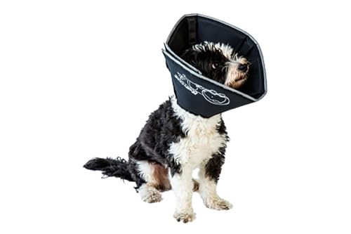 All Four Paws Comfy Cone Pet Cone for Dogs, Cats, Large, Black -...