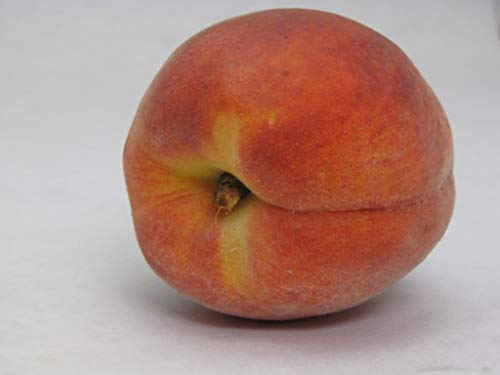 Kauffman Orchards Sun-Ripened Early Peaches (Box of 8)