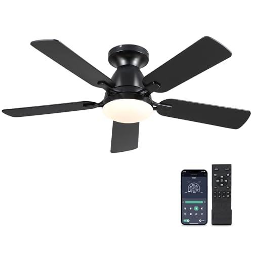 Ceiling Fans with Lights- 46' Low Profile Indoor Ceiling Fan with...
