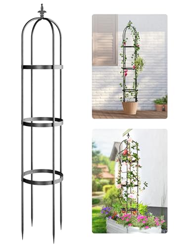 Idzo 100% Metal Obelisk Trellis for Climbing Plants Outdoor 6ft -...