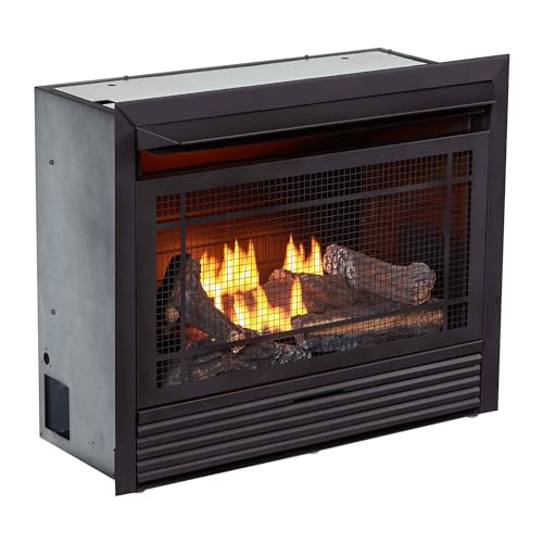 Duluth Forge Dual Fuel Ventless Gas Fireplace Insert, Remote Control,...