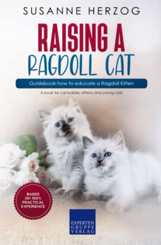 Raising a Ragdoll Cat – Guidebook how to educate a Ragdoll Kitten: A...