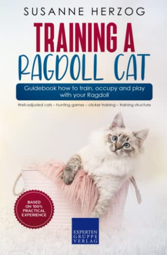 Training a Ragdoll Cat – Guidebook how to train, occupy and play...