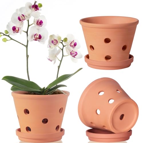 6 inch Terracotta Orchid Pots with Holes and Saucers, 3 Pack Clay...