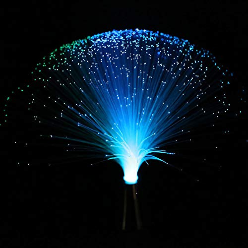 Rich Boxer LED Multicolor Changing Fiber Light Colourful Changing...
