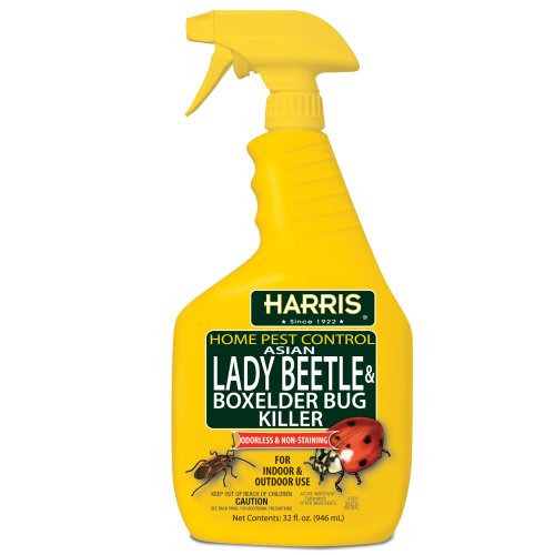 Harris Asian Lady Beetle and Box Elder Killer, Liquid Spray with...