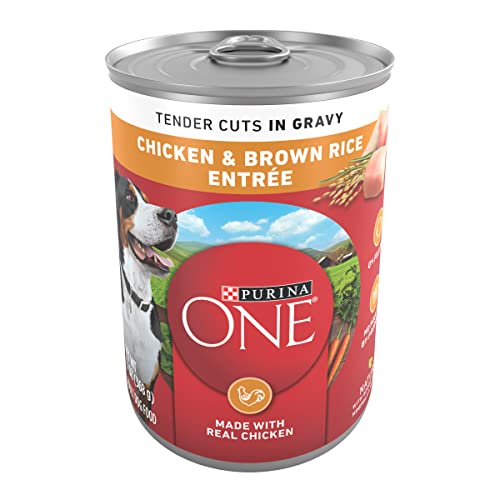 Purina ONE Tender Cuts in Wet Dog Food Gravy Chicken and Brown Rice...