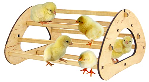 Wooden Chicken Perch for Baby Chick - Chick Roosting Bar with 7...
