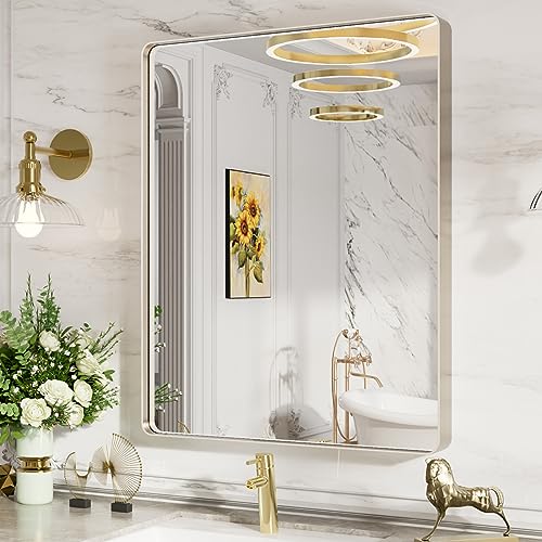 LOAAO 24X36 Inch Brushed Nickel Bathroom Mirror, Rounded Rectangle...