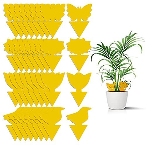 36 Pack Fungus Gnat Traps for House Plants, Yellow Sticky Traps for...