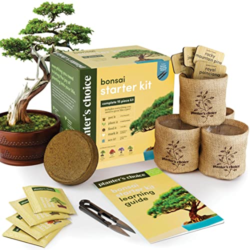 Bonsai Starter Kit - Gardening Gift for Women & Men - Bonsai Tree...