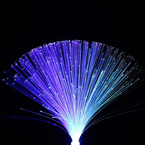 Tookie Fiber Optic Lamp, LED Colourful Changing Fiber Optic Fountain...