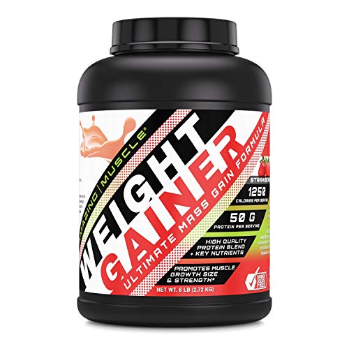 Amazing Muscle - Whey Protein Gainer - 6 Lb - Supports Lean Muscle...