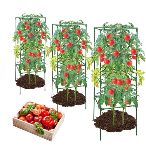 MQHUAYU 3 pack Tomato Cages, Square Tomato Plant Stakes Support Cages...