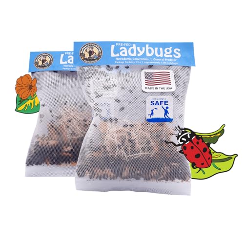 3000 Live Ladybugs - (2 X 1500 Live Ladybugs) - Guaranteed Live...