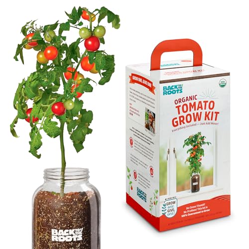 Back to the Roots Cherry Tomato Organic Windowsill Planter Kit - Grows...