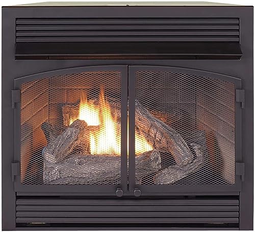 Duluth Forge Dual Fuel Ventless Gas Fireplace Insert, Thermostat...