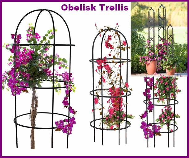 Obelisk Trellis