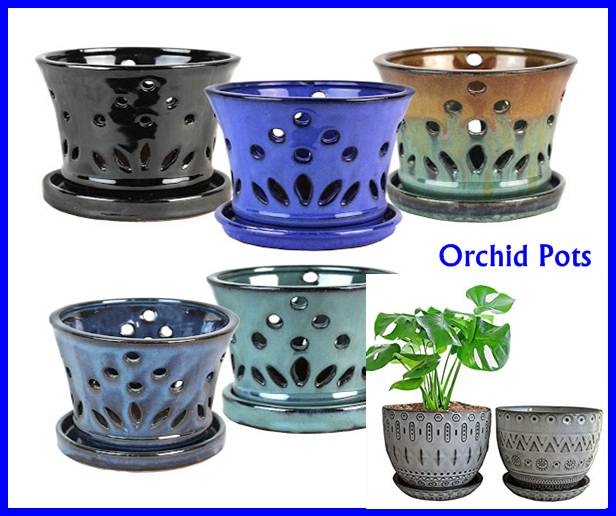 Orchid Pots