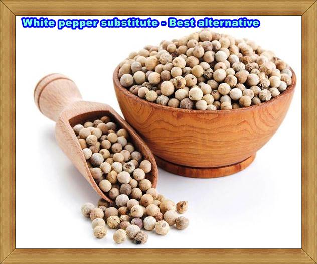 White pepper substitute - Best alternative