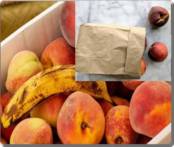 how to ripen peaches