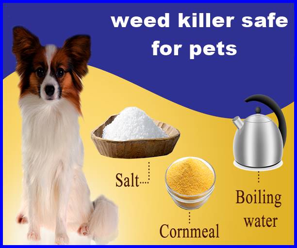weed killer safe for pets
