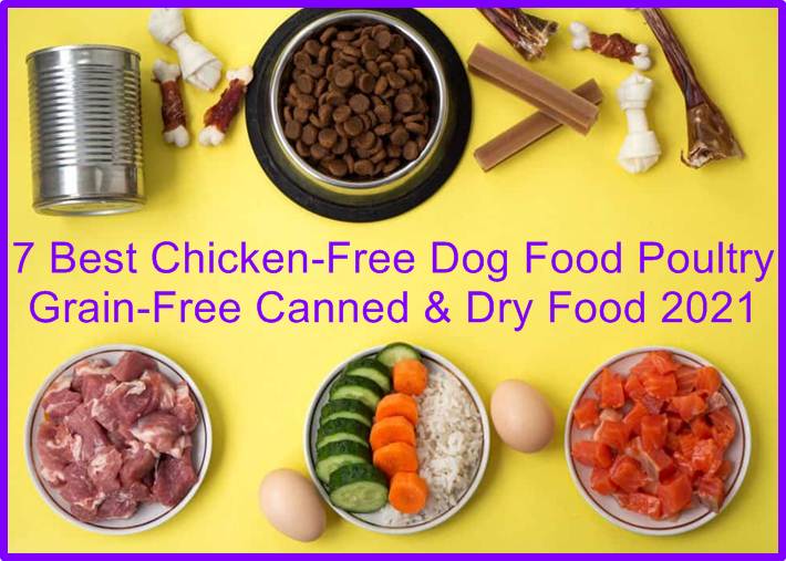 Chicken-Free Dog Food