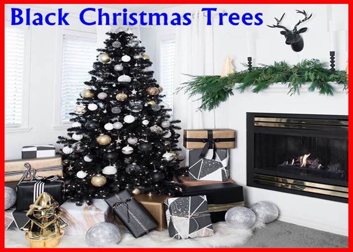 Black Christmas Trees