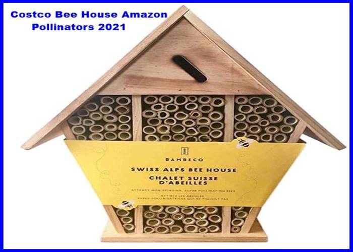 Costco Bee House Amazon Pollinators Patio, Lawn & Garden 2023