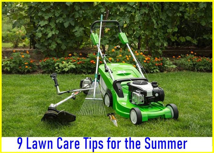 9 Lawn Care Tips for the Summer