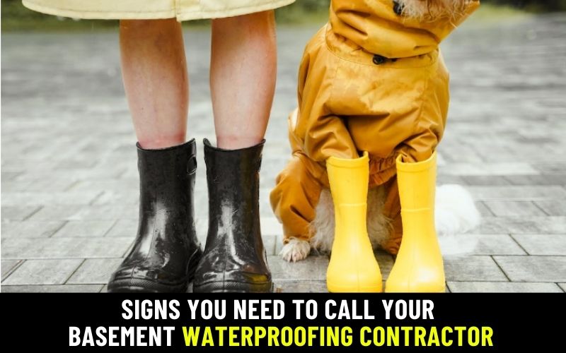 Signs You Need to Call Your Basement Waterproofing Contractor